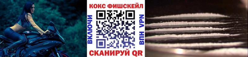 Кокаин FishScale  Камышлов 
