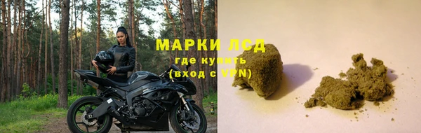 мяу мяу мука Абаза