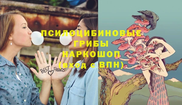 мяу мяу мука Абаза