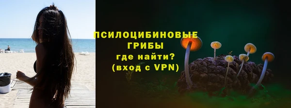 мяу мяу мука Абаза