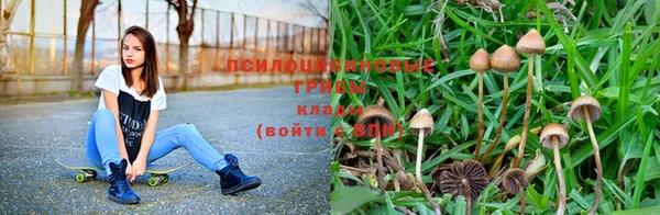 кокс Абинск