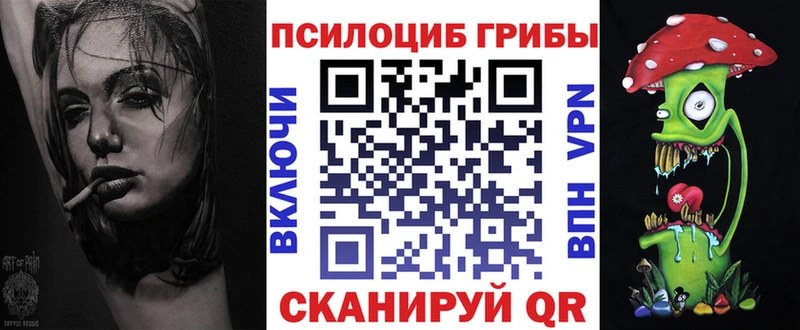 где купить наркоту  Камышлов  Галлюциногенные грибы Cubensis 
