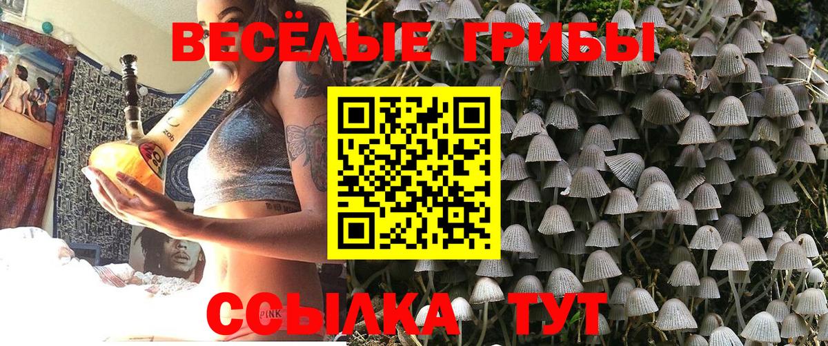 Галлюциногенные грибы Cubensis  Псилоцибиновые грибы мицелий  Камышлов  Вход с VPN 