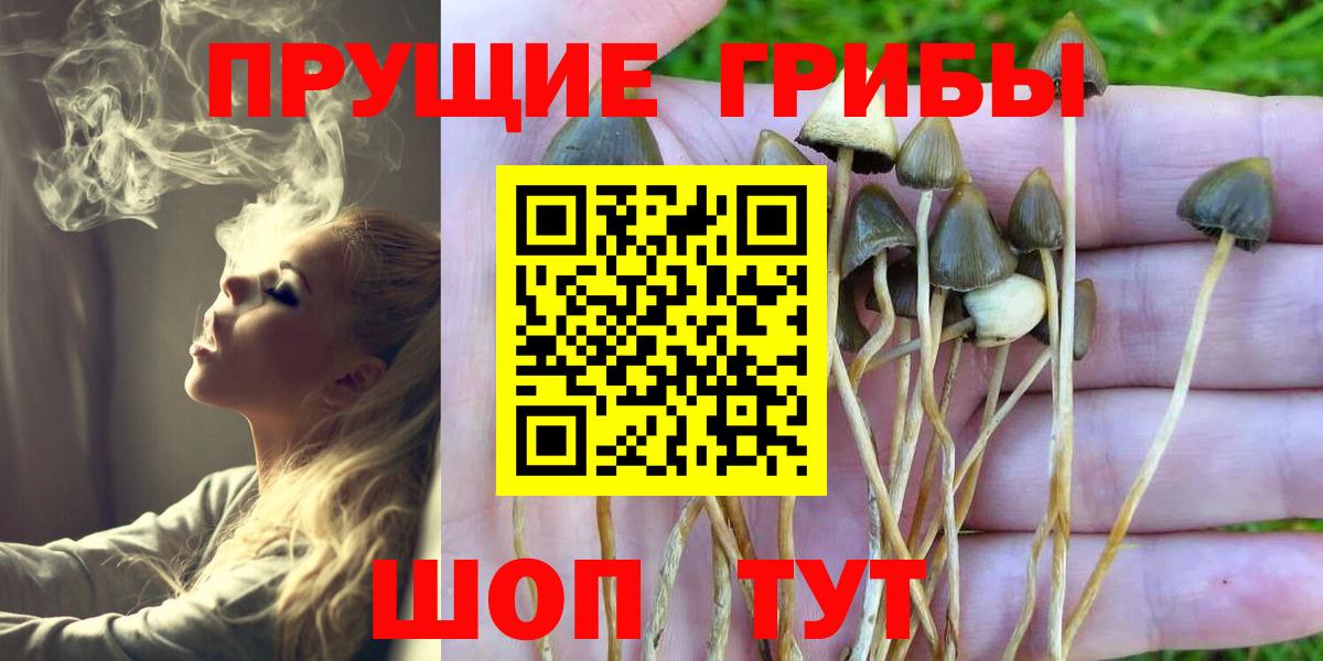 Галлюциногенные грибы MAGIC MUSHROOMS Камышлов